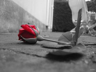 Amour et pain